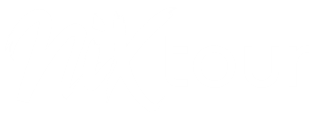 Nixtour Logo